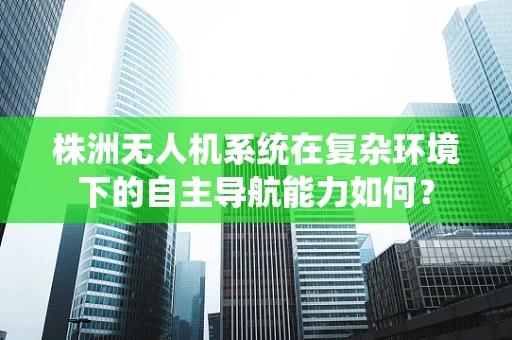 株洲无人机系统在复杂环境下的自主导航能力如何？