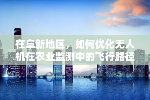 在阜新地区，如何优化无人机在农业监测中的飞行路径规划？