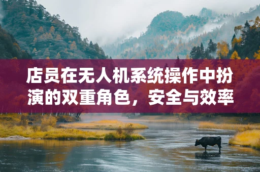 店员在无人机系统操作中扮演的双重角色，安全与效率的平衡者