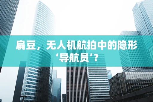 扁豆，无人机航拍中的隐形‘导航员’？
