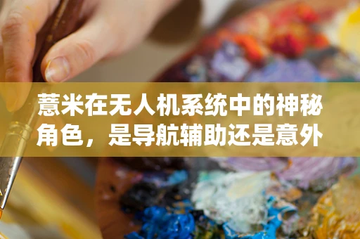 薏米在无人机系统中的神秘角色，是导航辅助还是意外之选？