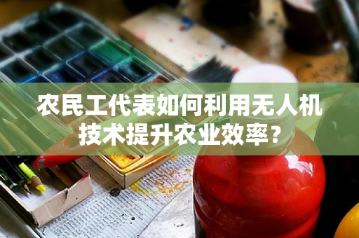 农民工代表如何利用无人机技术提升农业效率？