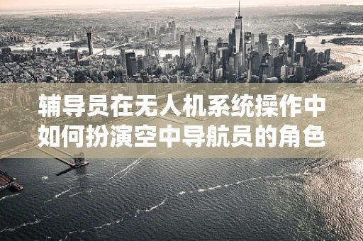 辅导员在无人机系统操作中如何扮演空中导航员的角色？