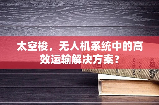 太空梭，无人机系统中的高效运输解决方案？