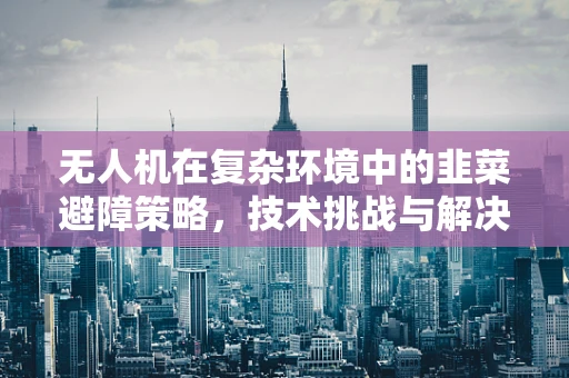 无人机在复杂环境中的韭菜避障策略，技术挑战与解决方案？
