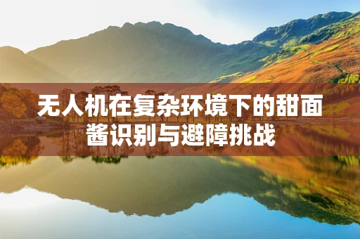 无人机在复杂环境下的甜面酱识别与避障挑战
