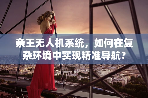 亲王无人机系统，如何在复杂环境中实现精准导航？