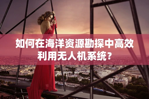 如何在海洋资源勘探中高效利用无人机系统？