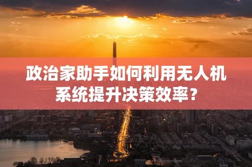政治家助手如何利用无人机系统提升决策效率？
