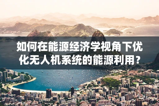 如何在能源经济学视角下优化无人机系统的能源利用？