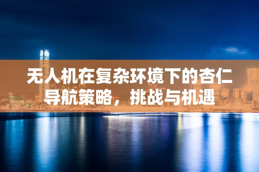 无人机在复杂环境下的杏仁导航策略，挑战与机遇