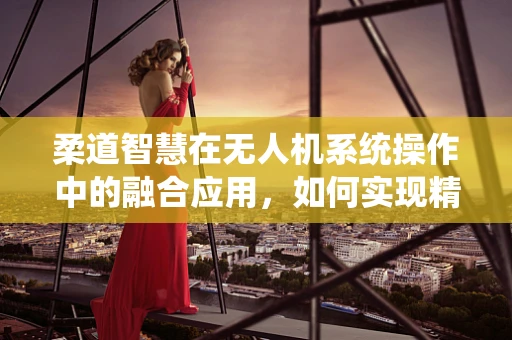 柔道智慧在无人机系统操作中的融合应用，如何实现精准控制与安全避障？