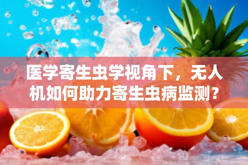 医学寄生虫学视角下，无人机如何助力寄生虫病监测？