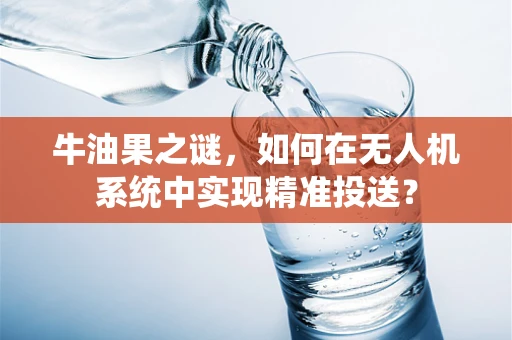 牛油果之谜，如何在无人机系统中实现精准投送？
