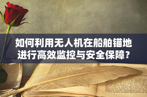 如何利用无人机在船舶锚地进行高效监控与安全保障？