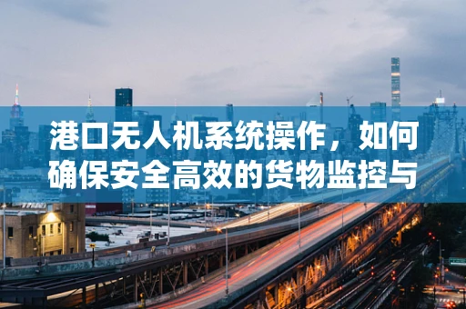 港口无人机系统操作，如何确保安全高效的货物监控与运输？