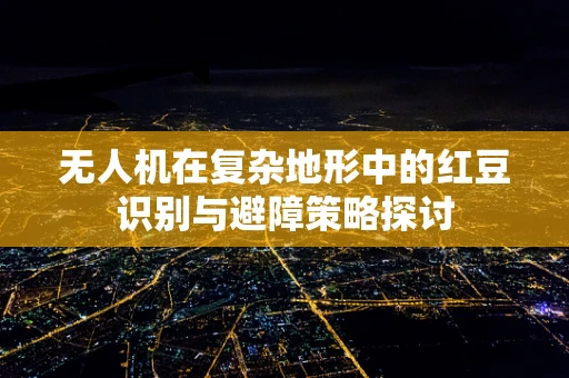 无人机在复杂地形中的红豆识别与避障策略探讨