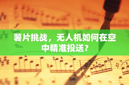 薯片挑战，无人机如何在空中精准投送？