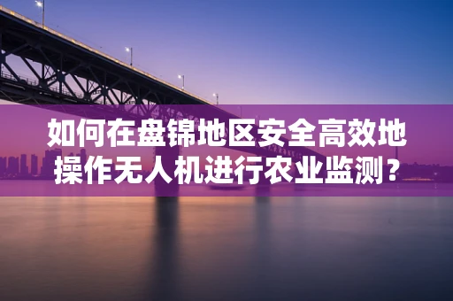 如何在盘锦地区安全高效地操作无人机进行农业监测？