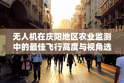 无人机在庆阳地区农业监测中的最佳飞行高度与视角选择