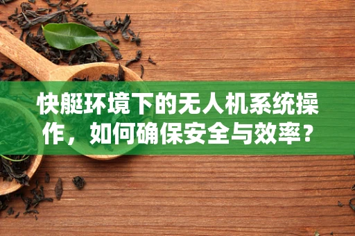 快艇环境下的无人机系统操作，如何确保安全与效率？