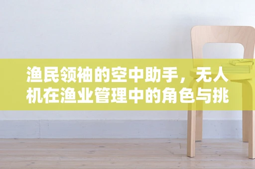 渔民领袖的空中助手，无人机在渔业管理中的角色与挑战