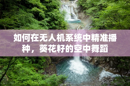 如何在无人机系统中精准播种，葵花籽的空中舞蹈