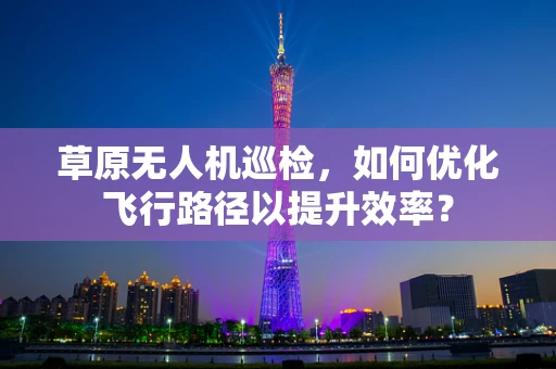 草原无人机巡检，如何优化飞行路径以提升效率？