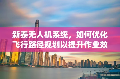 新泰无人机系统，如何优化飞行路径规划以提升作业效率？