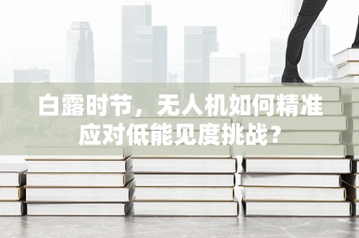 白露时节，无人机如何精准应对低能见度挑战？