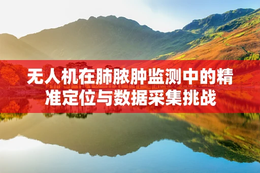 无人机在肺脓肿监测中的精准定位与数据采集挑战