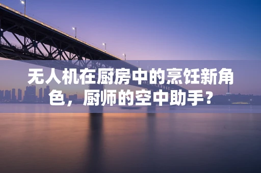 无人机在厨房中的烹饪新角色，厨师的空中助手？