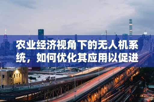 农业经济视角下的无人机系统，如何优化其应用以促进农业可持续发展？