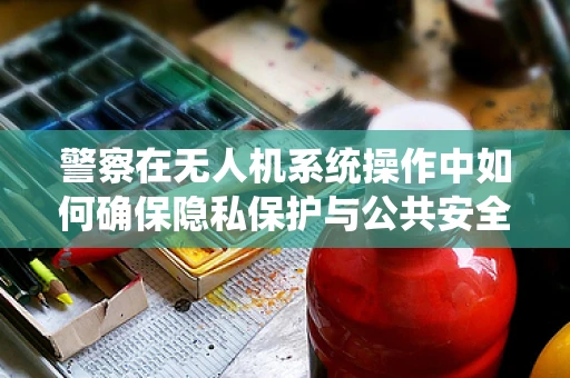警察在无人机系统操作中如何确保隐私保护与公共安全？