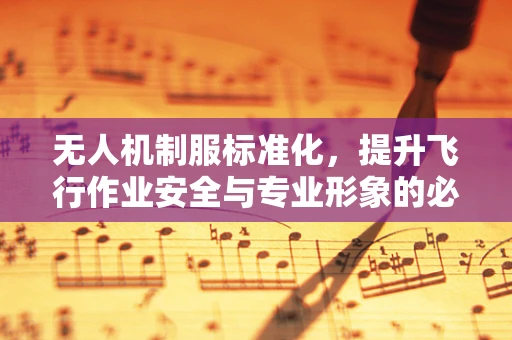 无人机制服标准化，提升飞行作业安全与专业形象的必要之举？