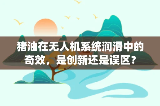 猪油在无人机系统润滑中的奇效，是创新还是误区？
