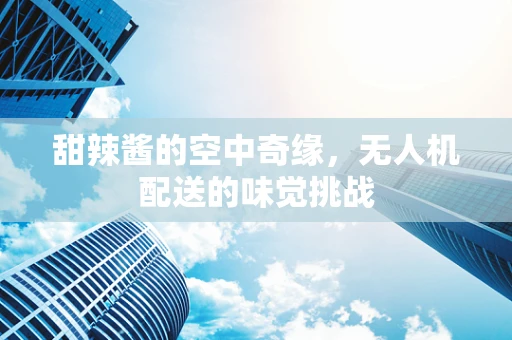 甜辣酱的空中奇缘，无人机配送的味觉挑战