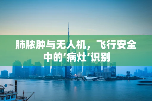 肺脓肿与无人机，飞行安全中的‘病灶’识别