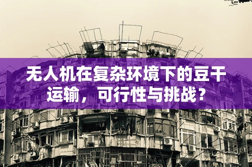 无人机在复杂环境下的豆干运输，可行性与挑战？