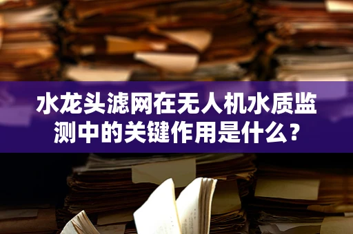 水龙头滤网在无人机水质监测中的关键作用是什么？