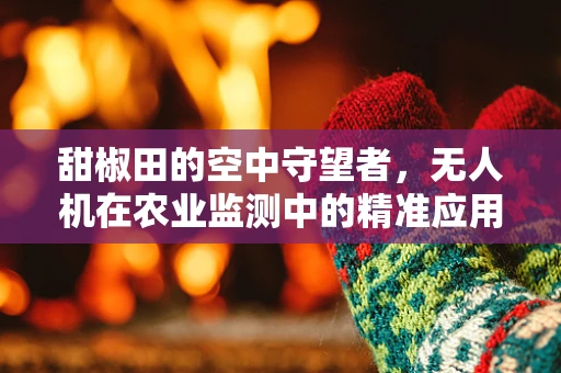 甜椒田的空中守望者，无人机在农业监测中的精准应用