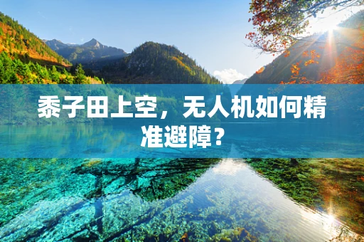 黍子田上空，无人机如何精准避障？