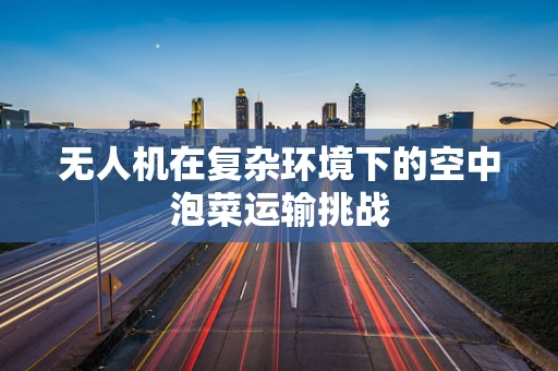 无人机在复杂环境下的空中泡菜运输挑战