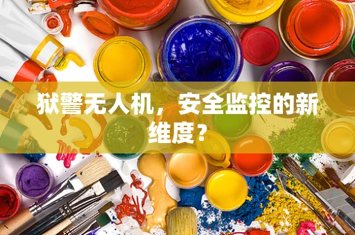 狱警无人机，安全监控的新维度？