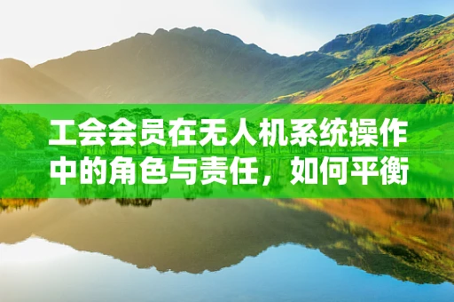 工会会员在无人机系统操作中的角色与责任，如何平衡安全与效率？