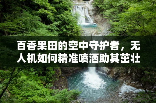 百香果田的空中守护者，无人机如何精准喷洒助其茁壮成长？