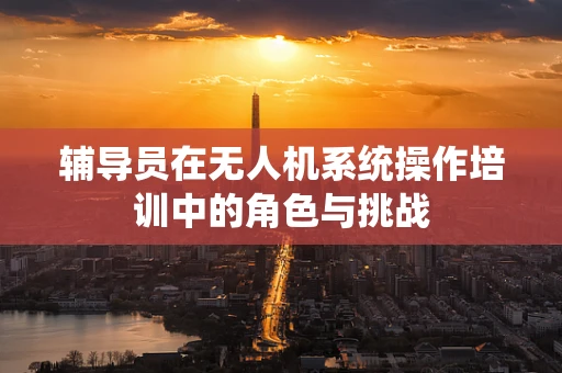 辅导员在无人机系统操作培训中的角色与挑战