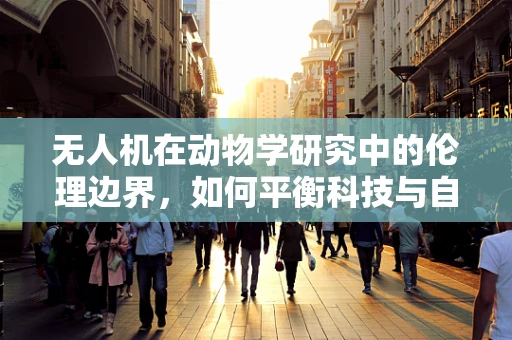 无人机在动物学研究中的伦理边界，如何平衡科技与自然？