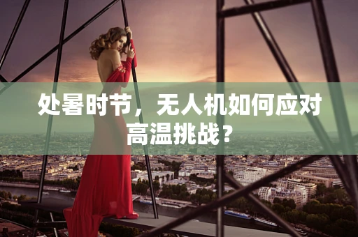 处暑时节，无人机如何应对高温挑战？