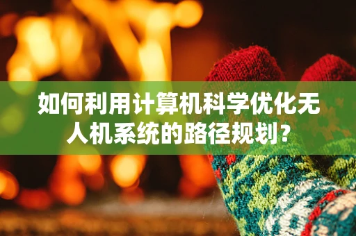如何利用计算机科学优化无人机系统的路径规划？
